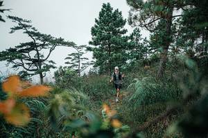 BIB: 
                            <button type="button" onclick="openModal(25260378)" class="btn btn-primary btn-sm float-right btn-popup" data-toggle="modal" data-target=".modal-high-quality">
                        <i class="fas fa-shopping-cart"></i> Add to Cart
                    </button>
                                            <button type="button" onclick="isThisMe(25260378, true)" class="btn btn-success btn-sm float-right btn-popup btn-isme hidden" data-toggle="tooltip" data-placement="bottom" title="นี่คือรูปของคุณใช่ไหม คลิกที่นี่เพื่อเอาเข้าอัลบั้ม">
                        <i class="fas fa-plus"></i> Add to album
                    </button>
                    <button type="button" onclick="isThisMe(25260378, false)" class="btn btn-warning btn-sm float-right btn-popup btn-isnotme hidden">
                        <i class="fas fa-ban"></i> Remove from album
                    </button>